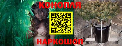 apvp Кимры