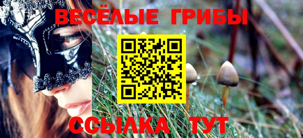 Псилоцибиновые грибы прущие грибы  Псилоцибиновые грибы прущие грибы  Нефтеюганск  Вход с VPN 